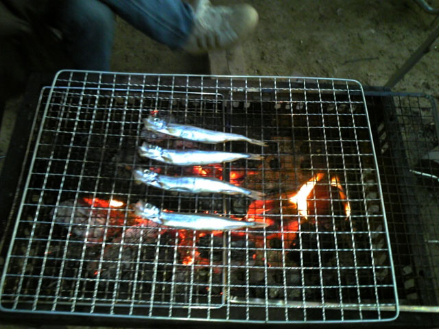 photo3